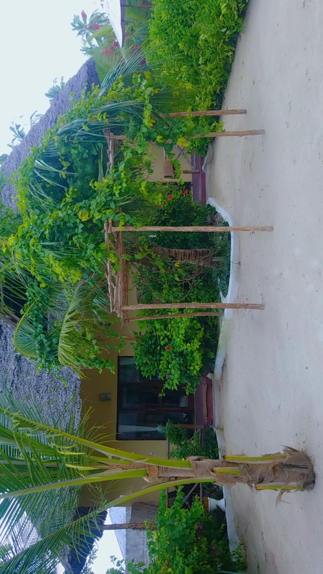 Amber Lodge Pongwe Extérieur photo