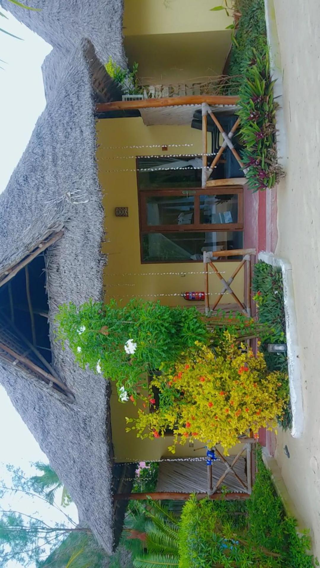 Amber Lodge Pongwe Extérieur photo